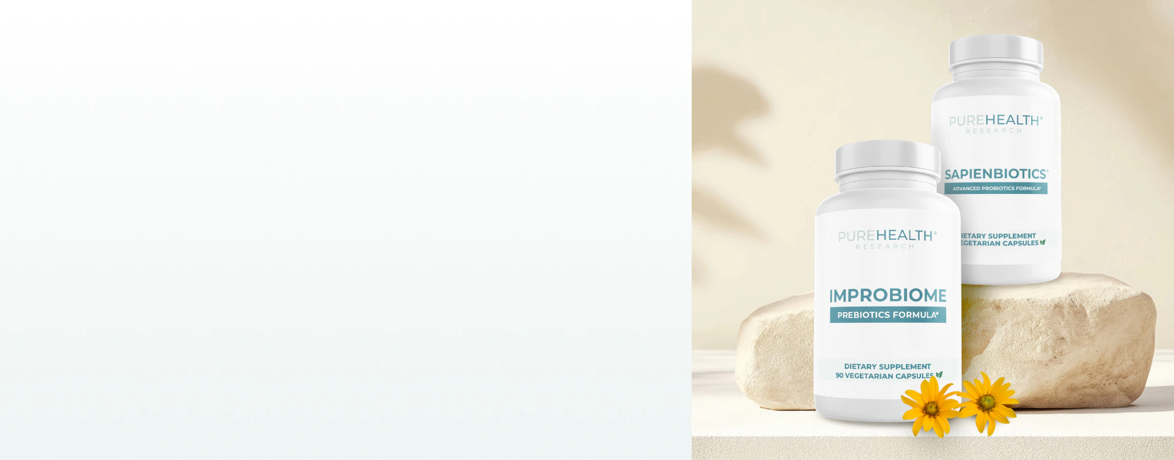 Prebiotics and Probiotics Supplements
