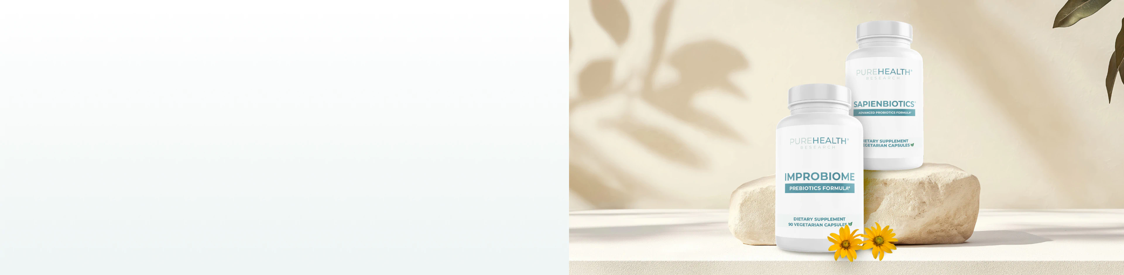 Prebiotics and Probiotics Supplements