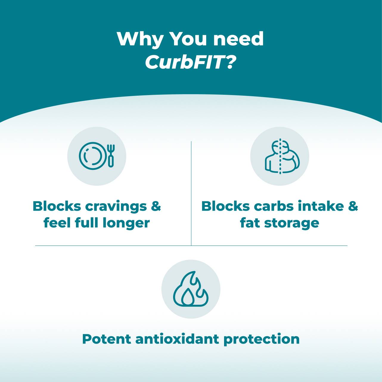 CurbFit