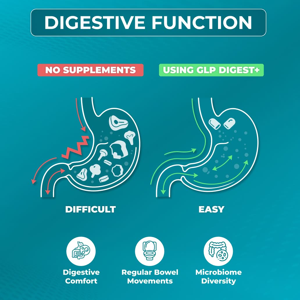 Digestive Function