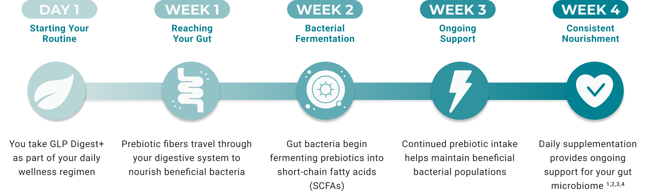 NOTICE THE DIFFERENCE IN YOUR DAILY ROUTINE