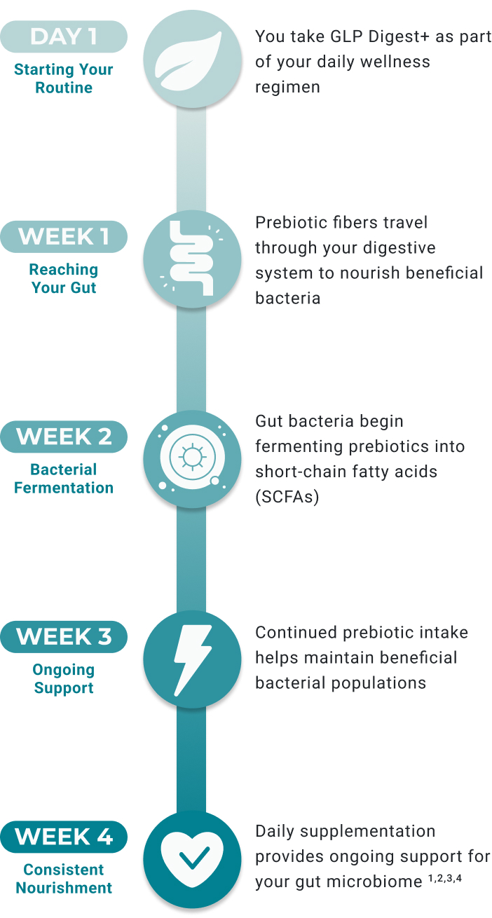 NOTICE THE DIFFERENCE IN YOUR DAILY ROUTINE