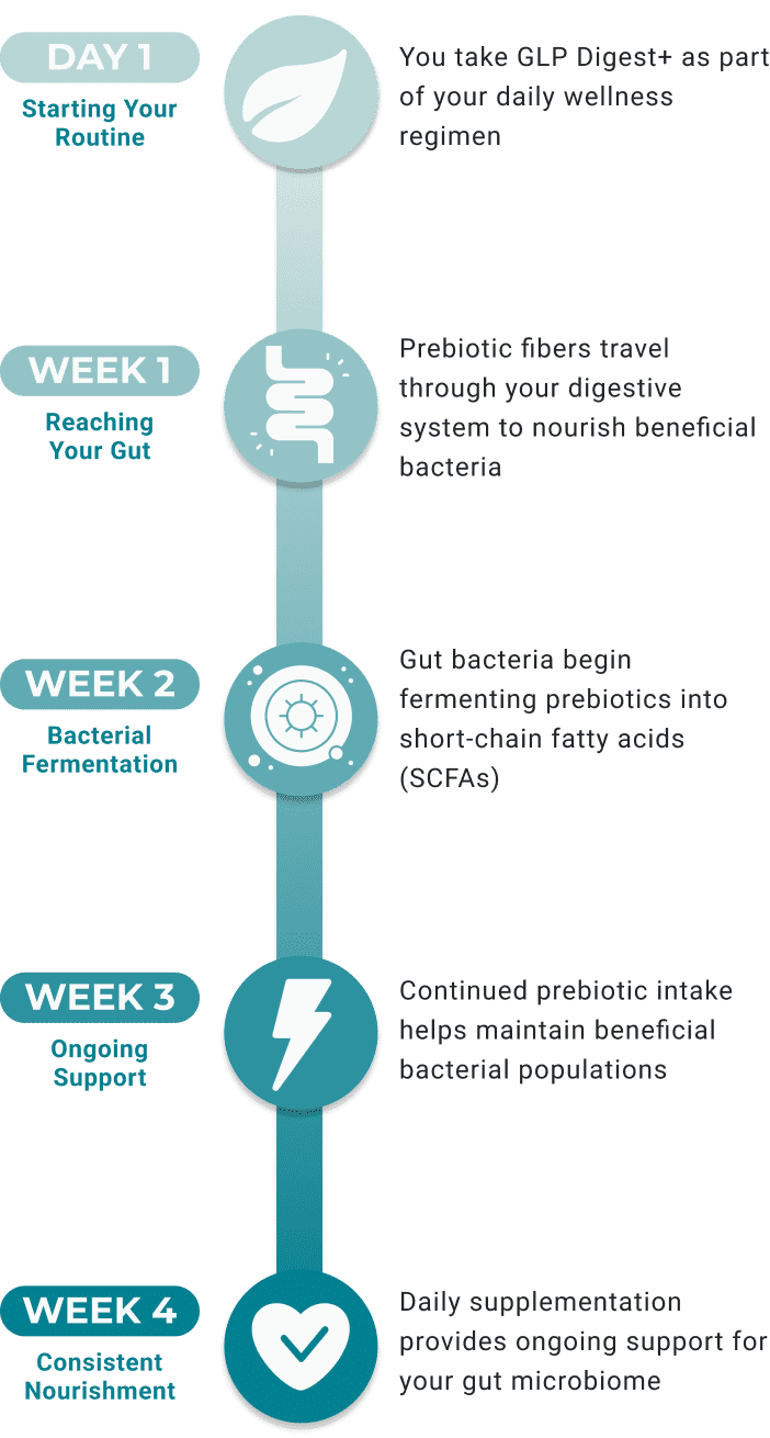 NOTICE THE DIFFERENCE IN YOUR DAILY ROUTINE