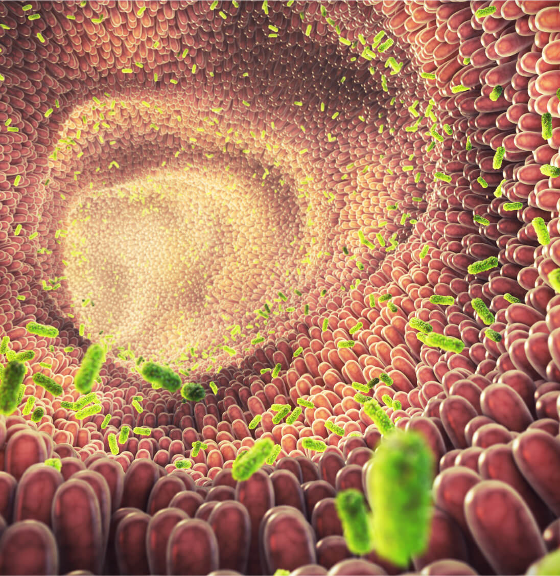 Gut microbiome