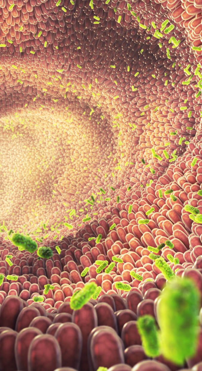 Gut microbiome