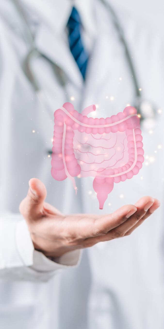 gut health