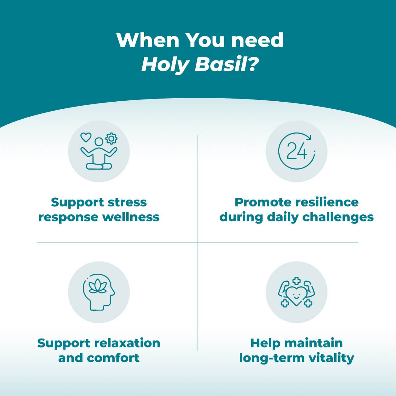 Holy Basil
