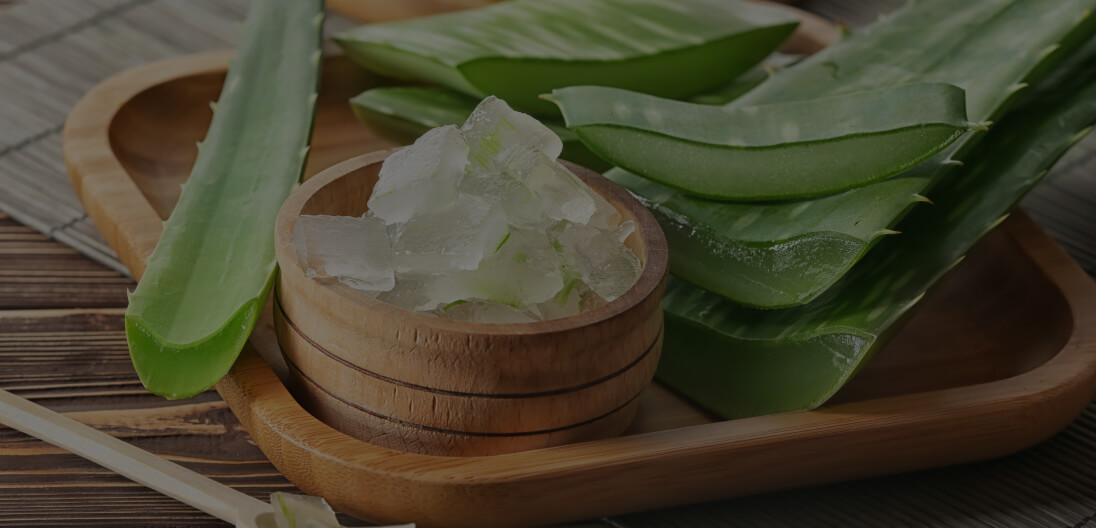 Aloe Vera Extract 200:1
