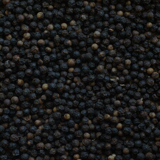 Black Pepper Fruit Extract