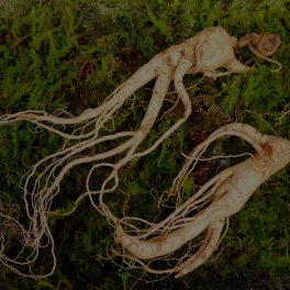 Ginseng Extract