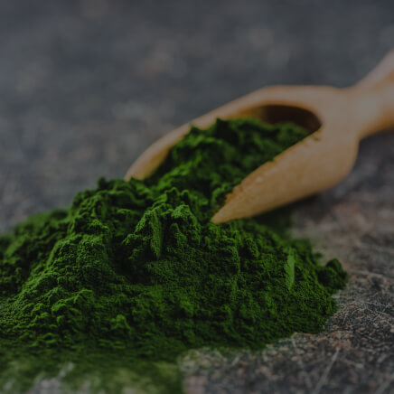Chlorella Powder