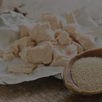 YESTEIN™ FERMENTED NUTRITIONAL YEAST PROTEIN