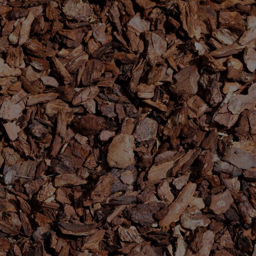 Maritime Pine Bark (MPB)