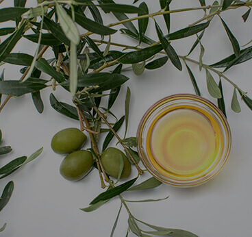 Olive Leaf Extract
