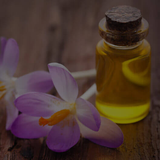Saffron Flower Extract