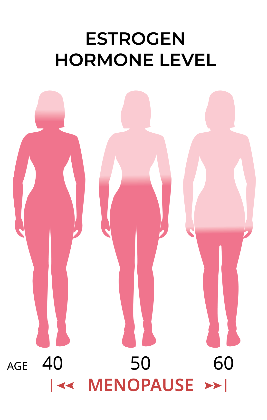 Estrogen hormone level