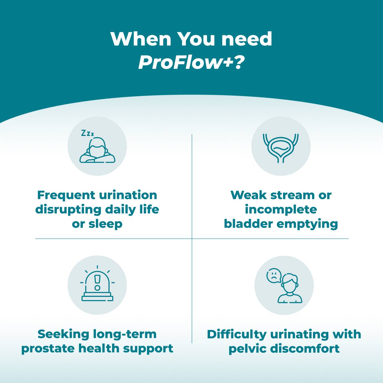 ProFlow+