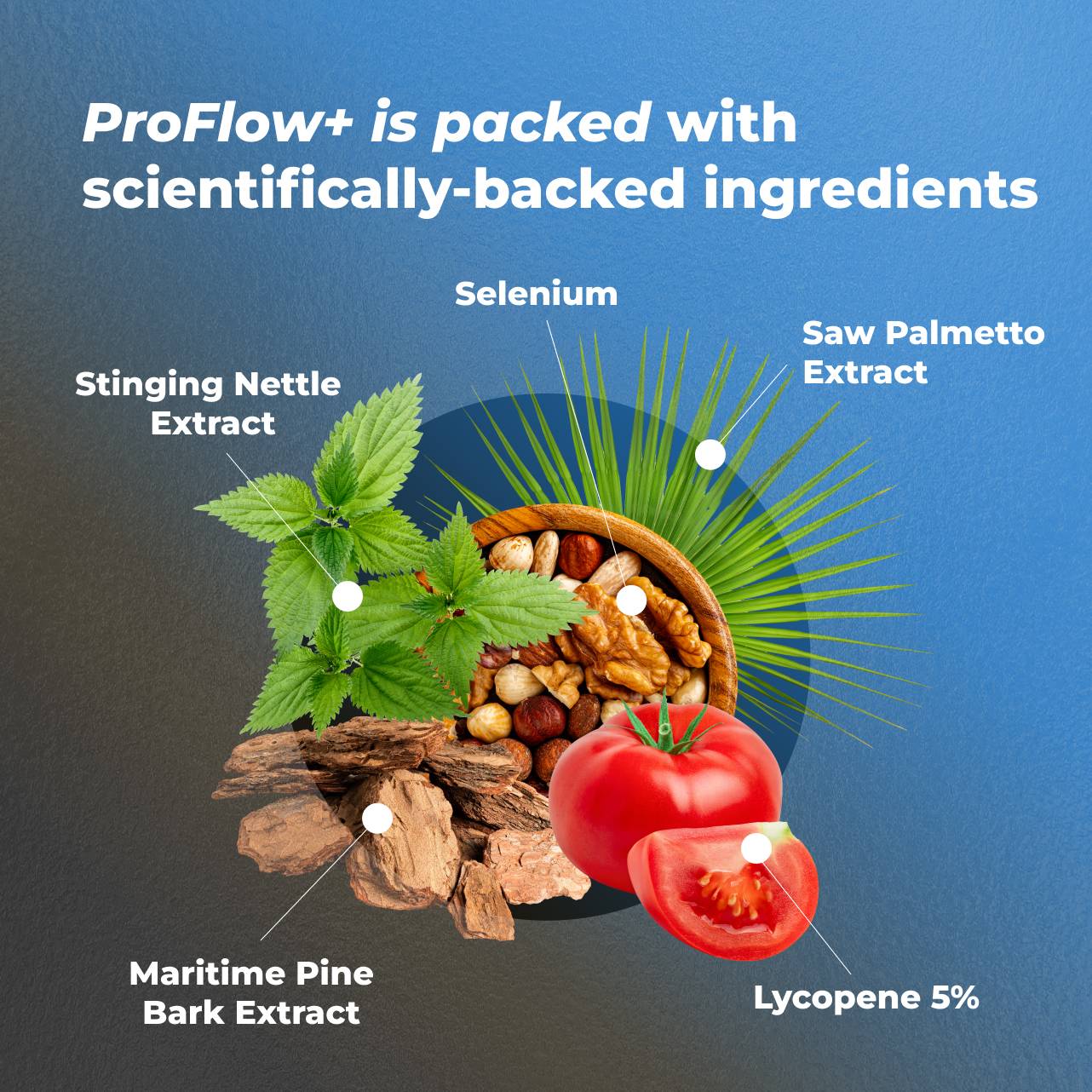 ProFlow+