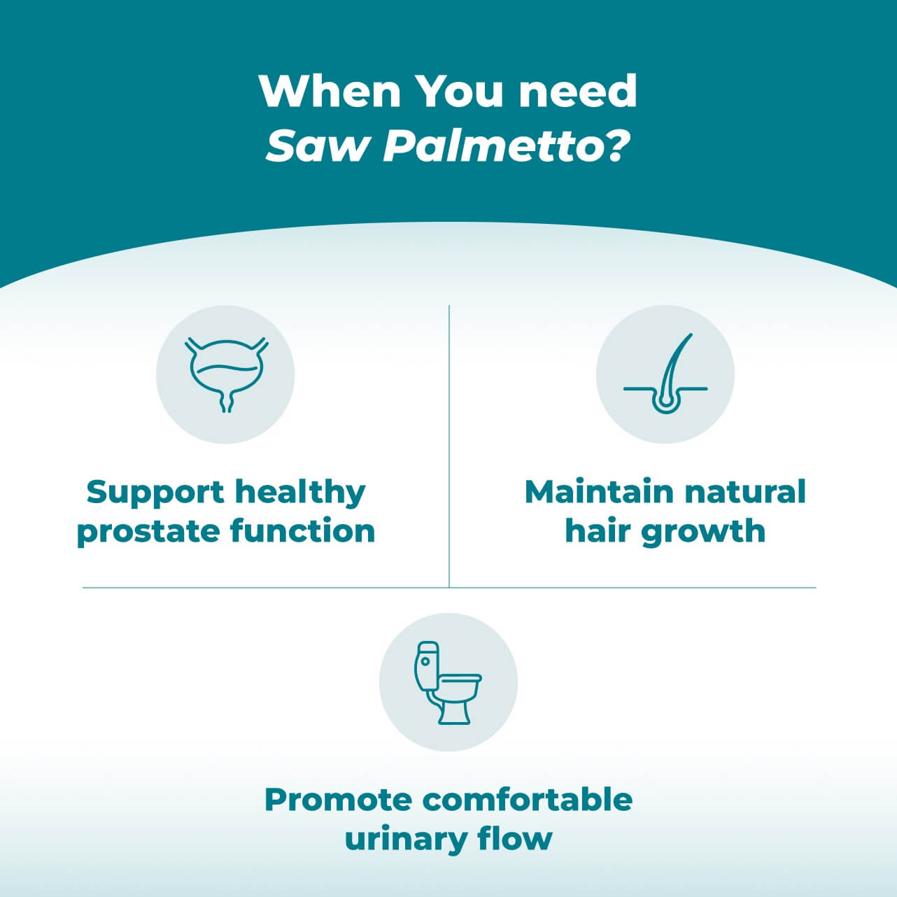 Saw Palmetto
