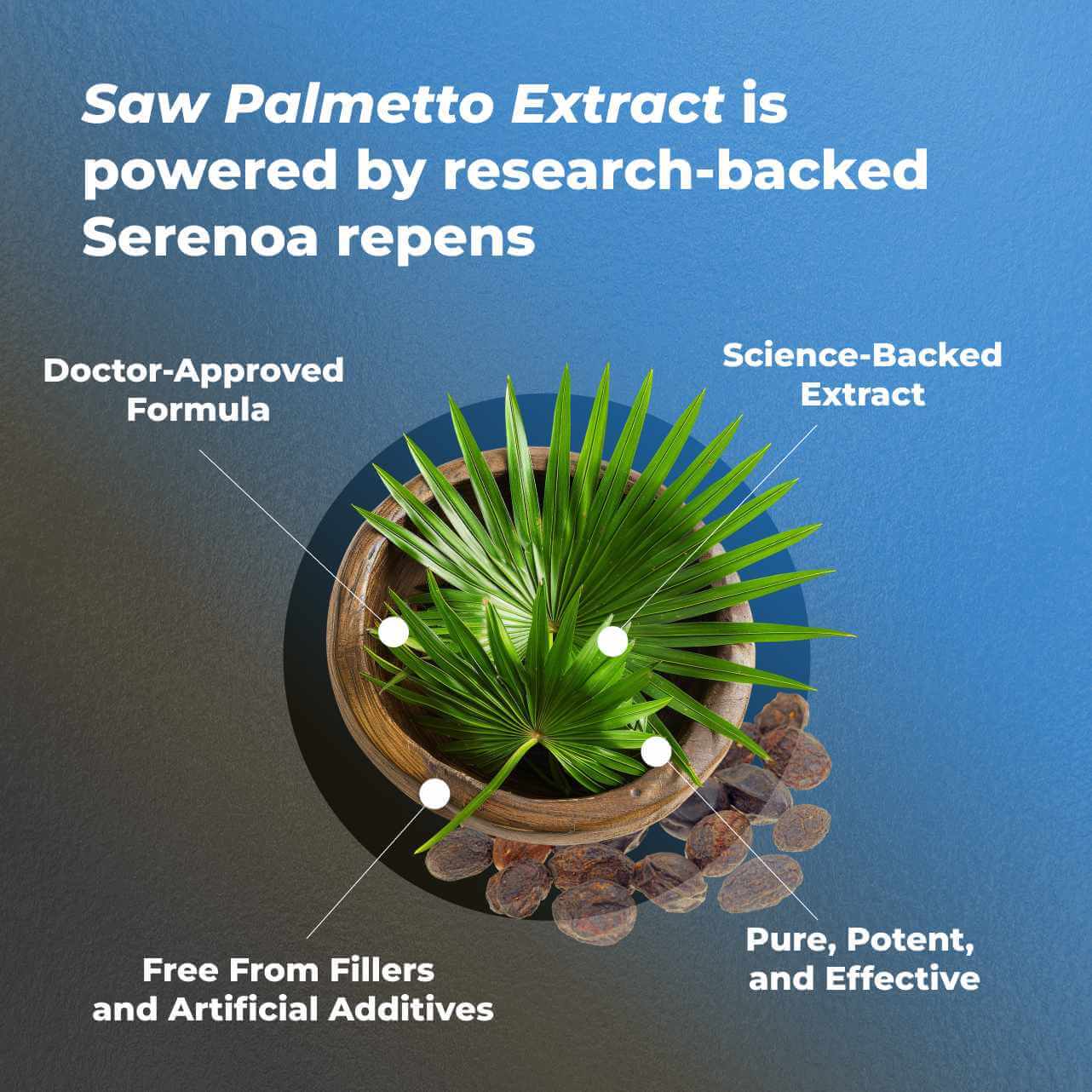 Saw Palmetto