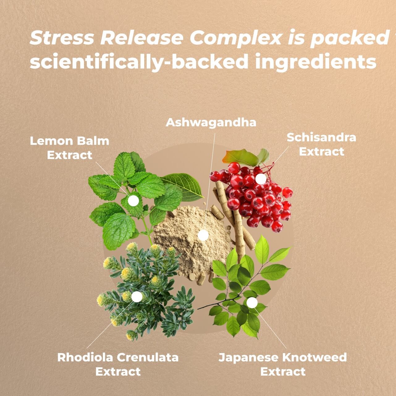 Stress Release Complex