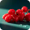 Berberine HCl